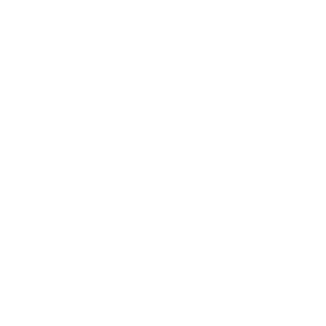 seo-services-icon